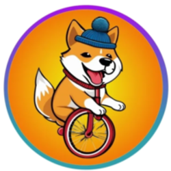 Yikes Dog